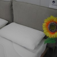 dscn4106